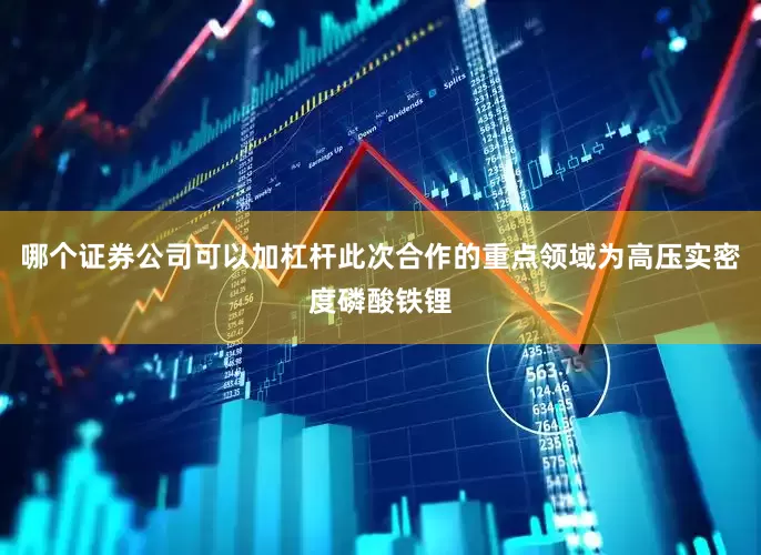哪个证券公司可以加杠杆此次合作的重点领域为高压实密度磷酸铁锂